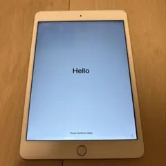 Apple iPad mini3 本体