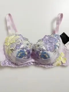 2026年最新】ワコール サルート e75の人気アイテム - メルカリ