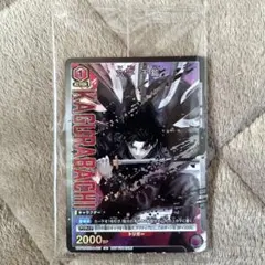 T*n様 カグラバチ　特典