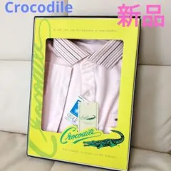 Item thumbnail for item 725ac31c-cb4e-4aa8-b428-783ded872b71