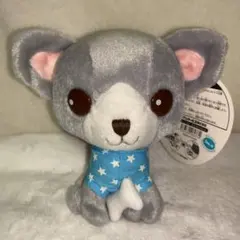 2026年最新】ちわわんこの人気アイテム - メルカリ