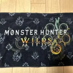 USJ ユニバーサルスタジオジャパン モンスターハンター ワイルズ
