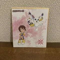 デジモン アクリルdeカード 八神ヒカリ無印