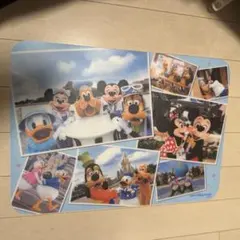 東京ディズニーリゾート　ランチョンマット　実写版のサムネイル