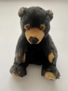 Item thumbnail for item f070284c-f8f8-4b04-ba97-1093ebbb2d0b