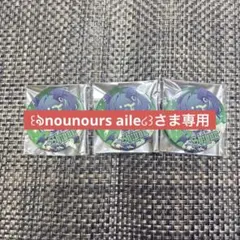 ꒰ঌnounours aile໒꒱さま専用