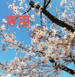 ぴ様専用 つまみ細工の髪飾り 薄ピンクの半くす、タッセル他 成人式 和装