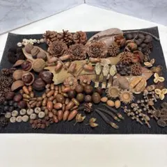 7-30自然素材　秋色ディスプレイ　木の実ミックス　インテリア　リース素材