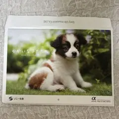 Item thumbnail for item 9f7c0296-0893-413a-bcf5-8354e97d240d