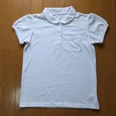 半袖ポロシャツ ホワイト 丸襟