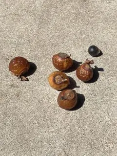 syoumei様 リクエスト 3点 まとめ商品