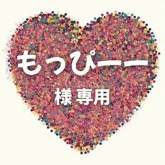 もっぴーー 様　専用ページ