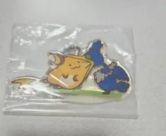 ポケモン カナヘイ ウッウ ライチュウ