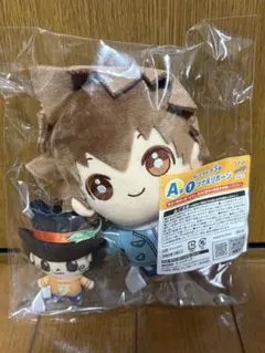 家庭教師ヒットマンREBORN！ 沢田綱吉 リボーン ひこくじ A賞 ぬいぐるみ