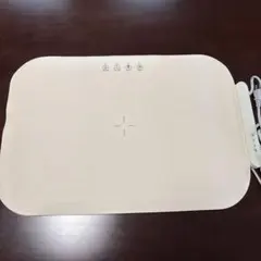 푸드 워머 플레이트