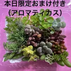 サプリ (●´ϖ`●)様 リクエスト 3点 まとめ商品