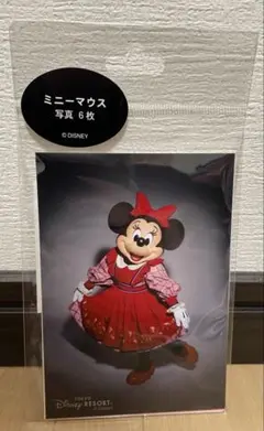 ディズニーリゾート 写真セット ミニーマウス