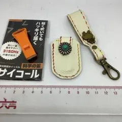 Item thumbnail for item 2d492125-c9ae-47ba-8b4a-4de19e749570