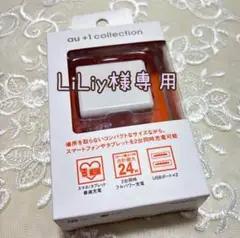 2ポートUSBチャージャー