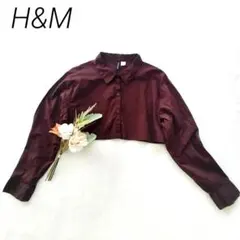 H&M クロップド丈シャツ ブラウス ブラウン M 長袖　前開き　綿100%