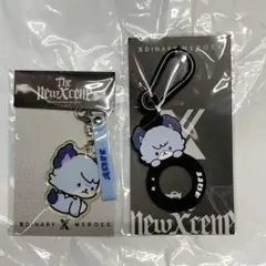 xdinary heroes イルコン ペットボトル アクキー 2種 ジュヨン