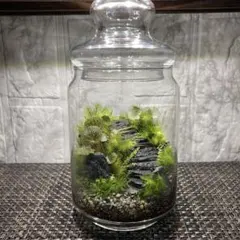 素焼きの瓶13L 活水器➕きららの石➕黒天石 - メルカリ