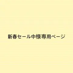 新春セール中様専用ページサイズオーダーバッグインバッグ