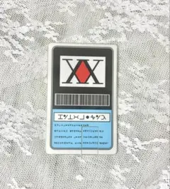 ハンターハンター　初期懸賞品　ハンターライセンス　ヘルスチェックカード ハンターハンター 初期懸賞品 ハンターライセンス ヘルス
