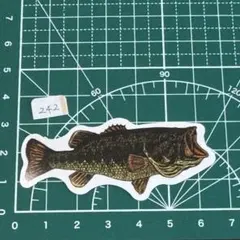 防水ステッカー ブラックバス リアルイラスト 釣り・アウトドア向け