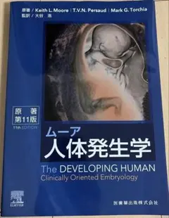 中古】小動物のX線読影トレーニング (その読みかたと考え方) 獣医 犬猫