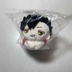 ハイキュー 黒尾鉄朗 はぐキャラ