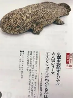 オリックス オオサンショウウオぬいぐるみセットすみだ水族館 京都