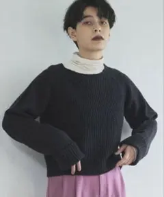 Audrey and John Wad ラウンドネックショートニットプルオーバー