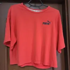 PUMA 赤 半袖 Tシャツ Mサイズ