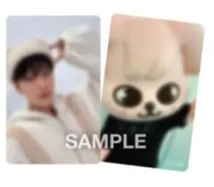 Stray Kids スキズ トレカ タワレコ エコパ 特典 スンミン