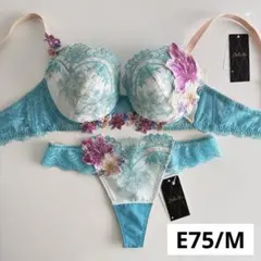 サルート 白雪姫 D65/M IV 16 フロントエックス＋ブラ ソング タンガ