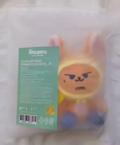 SEVENTEEN ミニティーン スングァン プギュリ マグネットキーホルダー