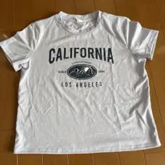 SHEIN CALIFORNIA Tシャツ 12Y 薄紫のサムネイル