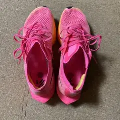 Nike Vaporfly 3