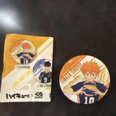 ハイキュー!! ピンバッジセット