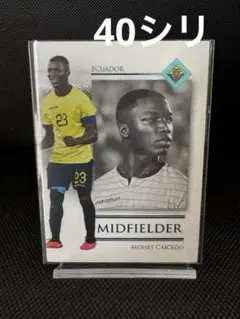 【40枚限定】futera カイセド Moisés Caicedo チェルシー