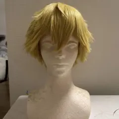 2025年最新】エクスアルビオ コスプレの人気アイテム - メルカリ