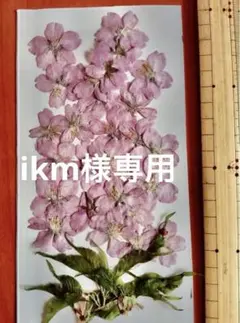 ikm様 リクエスト 2点 まとめ商品