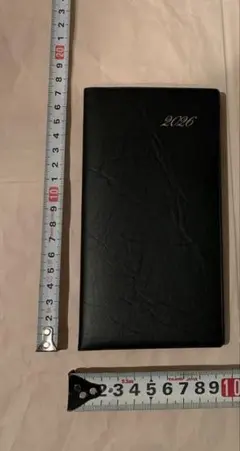 Item thumbnail for item 470f8f3d-1cb0-4173-b88b-3a0e66326cc2