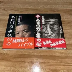 Item thumbnail for item f80508ba-3865-472f-9e21-35beebfb2293