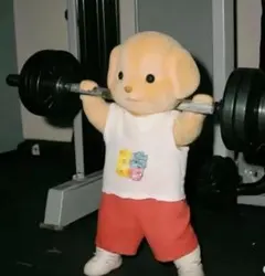 ラウール アイドル