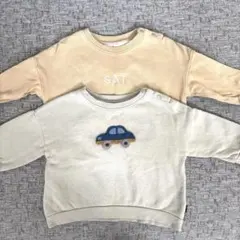 テータテート 80