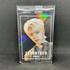 seventeen ディノ　ウエハース　ステッカー　カード