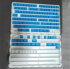 REALFORCE 純正カラーキートップセット R2-JP-KT-PL 完品 - メルカリ
