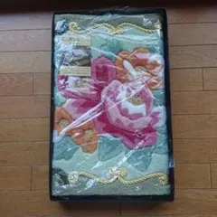 Item thumbnail for item d86494c3-facf-403e-a658-82ca7edcc72f